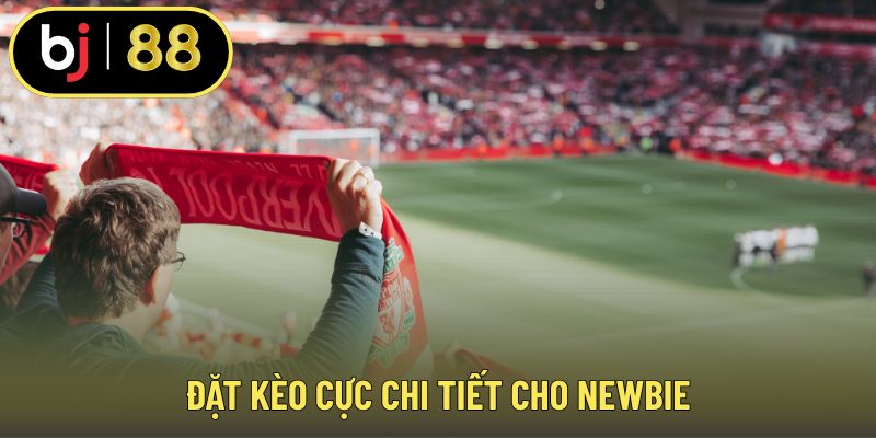 Đặt kèo cực chi tiết cho newbie