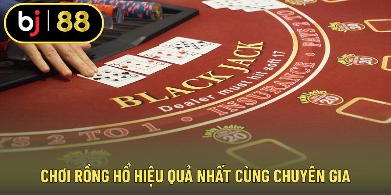 Chơi rồng hổ hiệu quả nhất cùng chuyên gia