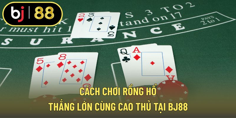 Cách chơi rồng hổ