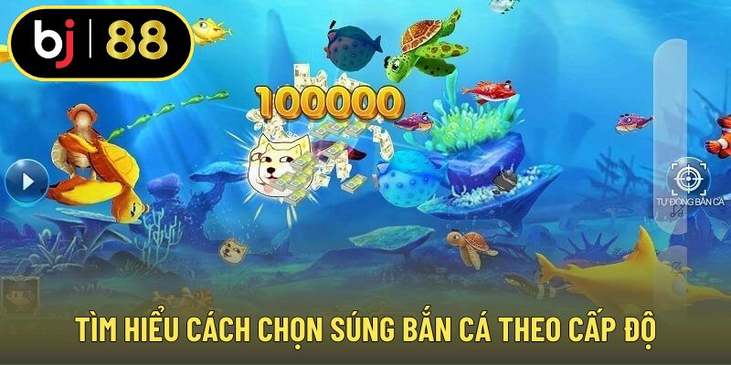 Tìm hiểu cách chọn súng bắn cá theo cấp độ