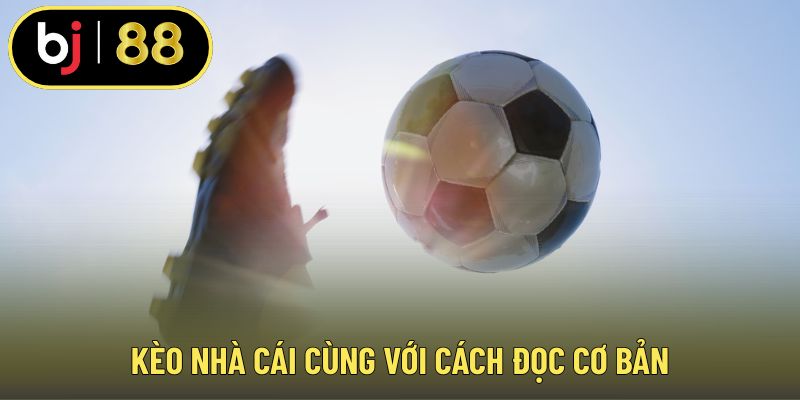 Kèo nhà cái cùng với cách đọc cơ bản