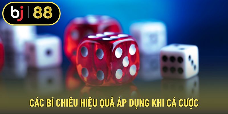 Các bí chiêu hiệu quả áp dụng khi cá cược