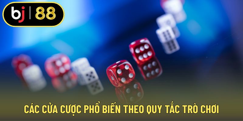 Các cửa cược phổ biến theo quy tắc trò chơi