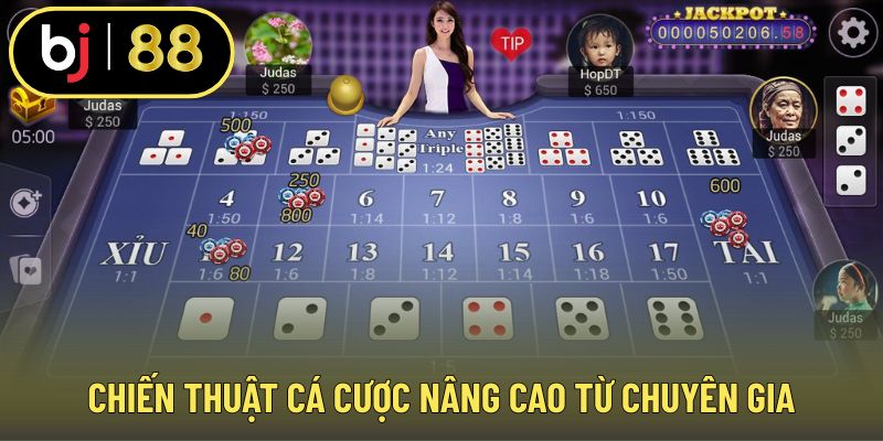 Chiến thuật cá cược nâng cao từ chuyên gia