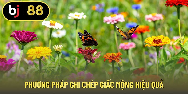 Phương pháp ghi chép giấc mộng hiệu quả