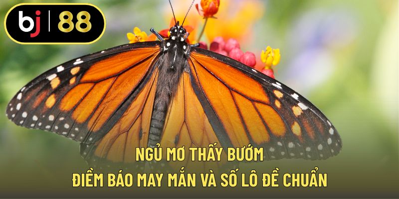 Ngủ mơ thấy bướm