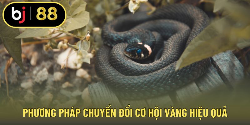 Phương pháp chuyển đổi cơ hội vàng hiệu quả