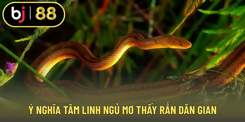 Ý nghĩa tâm linh ngủ mơ thấy rắn dân gian