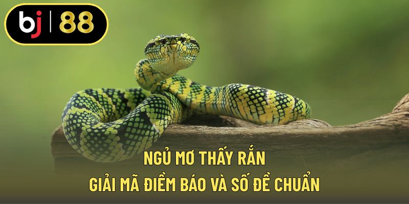 Ngủ mơ thấy rắn