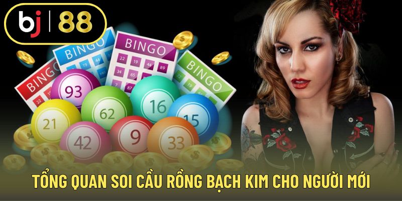 Tổng quan soi cầu rồng bạch kim cho người mới